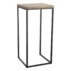 Fiona Wood Top Plant Stand With Metal Base, Large -Accent Furniture Shop fiona wood top plant stand with metal base large